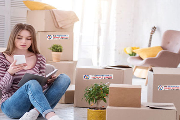 About The Professional Express Relocation Packers and Movers New Delhi