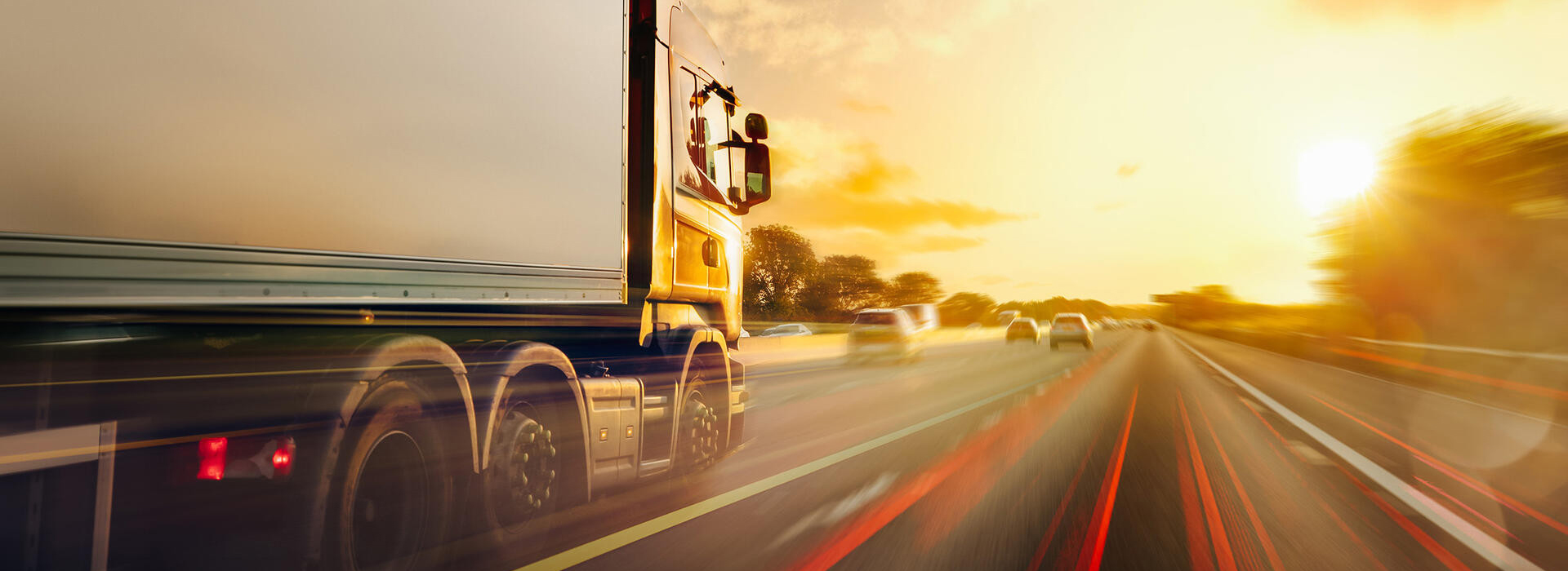 About The Professional Express Relocation Packers and Movers Noida