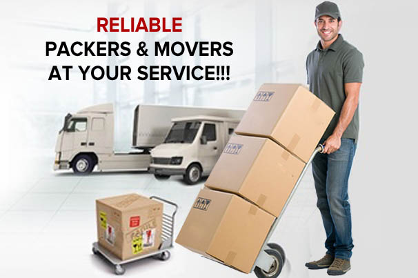 About The Professional Express Relocation Packers and Movers in Thoraipakkam