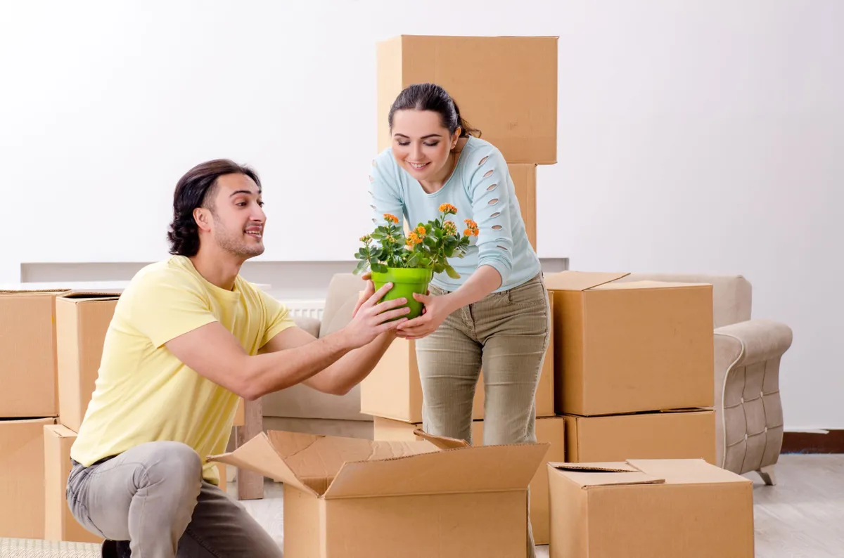 About The Professional Express Relocation Packers and Movers – Medavakkam