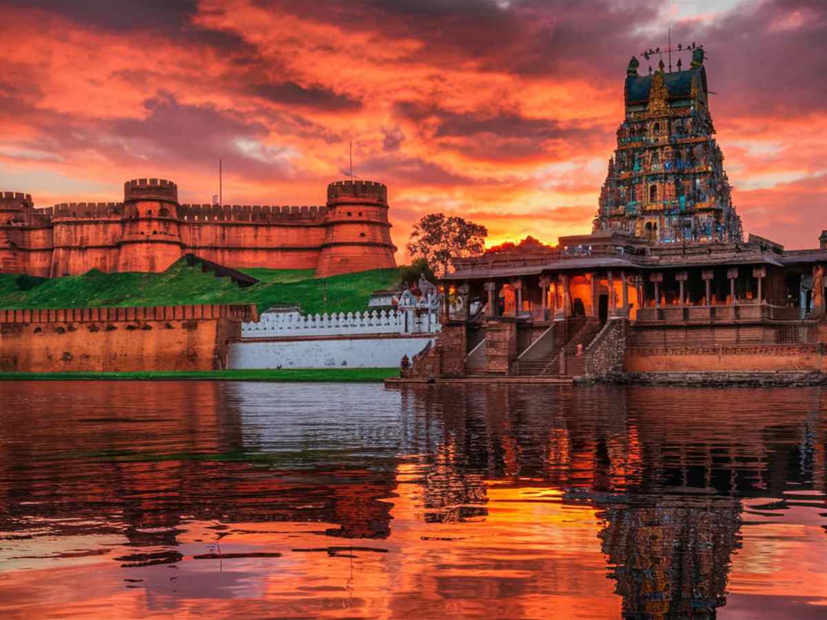 Trusted Packers and Movers in Vellore for Safe & Hassle-Free Relocation