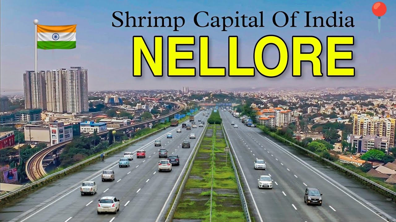 Reliable Packers and Movers in Nellore for Safe & Hassle-Free Relocation