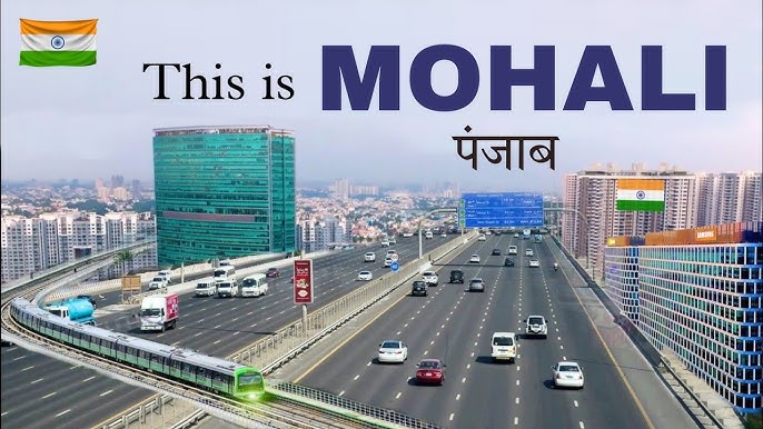 Trusted Packers and Movers in Mohali